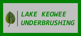 Lake Keowee Underbrushing