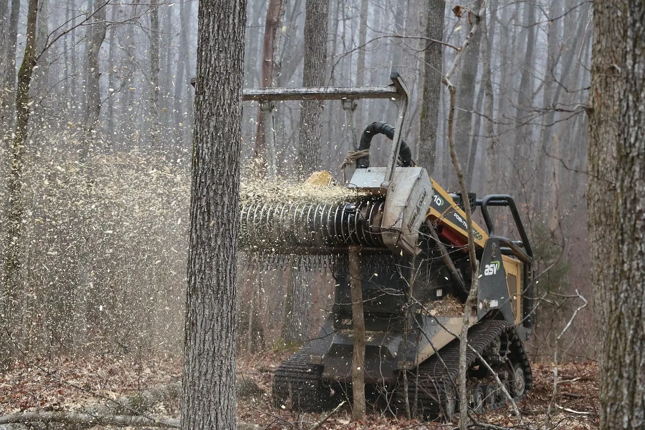 Compact track loader with a drum mulcher grinding a standing tree